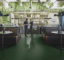 Forbo Marmoleum Decibel on Order 335935 bottle green фото 2 | FLOORDEALER